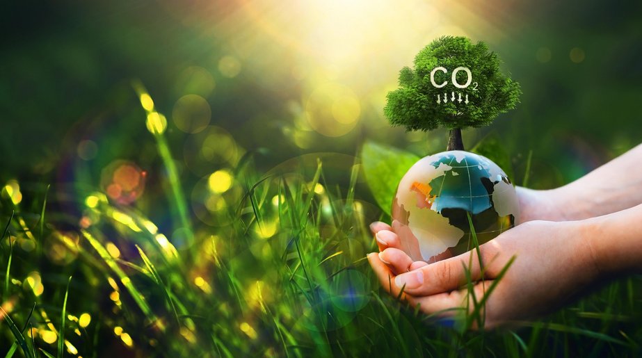 CO2 senken.jpeg Zu sehen ist Gras und Sonnenstrahlen sowie im rechten Teil des Bildes zwei Hände, die eine Erdkugel halten. Auf der Kugel steht ein Baum in dessen Krone CO2 steht. Darunter sind fünf vertikale Pfeile abgebildet, die alle nach unten zeigen.
